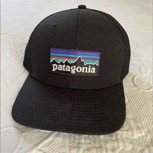Patagonia Trucker Hat